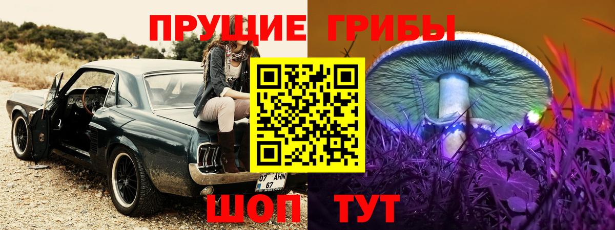 Псилоцибиновые грибы Psilocybine cubensis Семёнов
