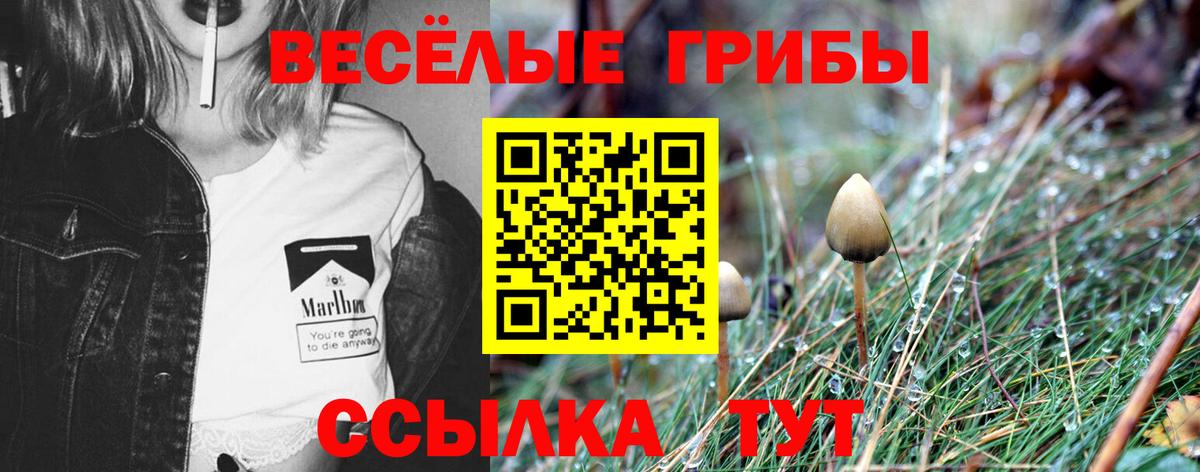 Галлюциногенные грибы MAGIC MUSHROOMS  закладка  Семёнов  Вход с VPN 